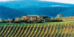 DeBortoli_Wines_Winery_web